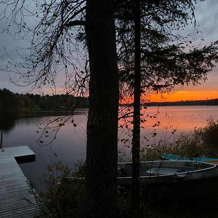 Taigaschool Eco Hotel Virrankyla Exteriör bild