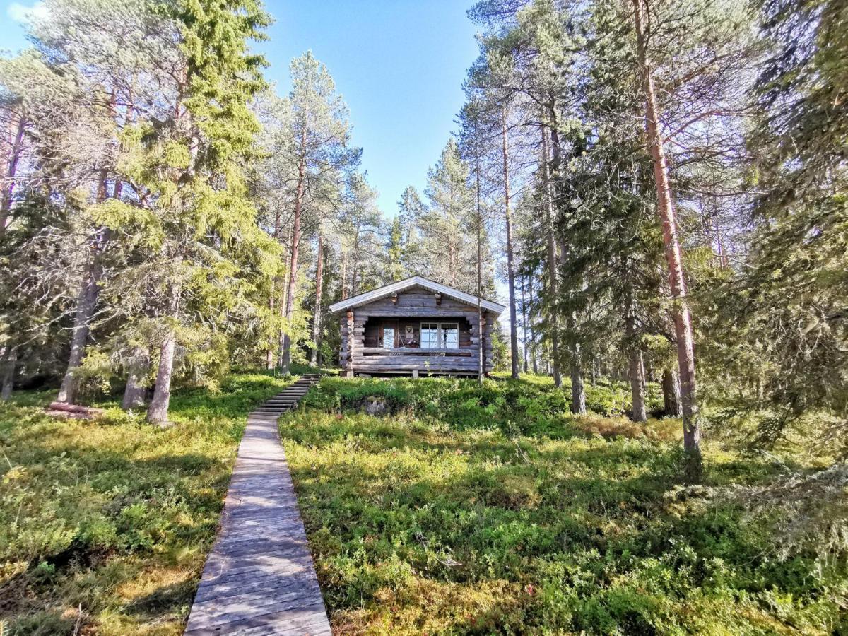 Taigaschool Eco Hotel Virrankyla Exteriör bild