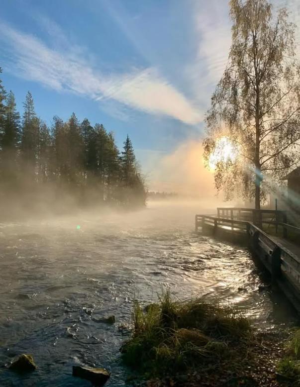 Taigaschool Eco Hotel Virrankyla Exteriör bild