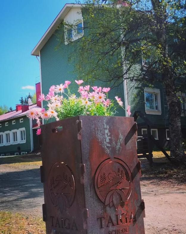 Taigaschool Eco Hotel Virrankyla Exteriör bild